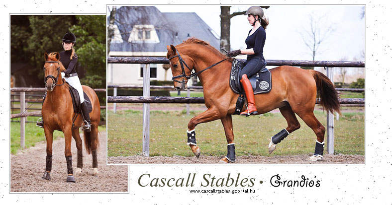 CASCALL STABLES